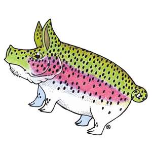 Fly Fishing Stickers